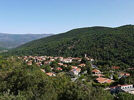 A general view of Taurinya