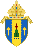 Archdiocese of Palo