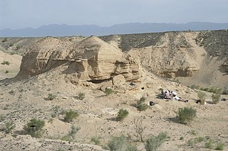 <span class="mw-page-title-main">Nemegt Formation</span> Geological formation in Mongolia