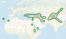 Cicer distribution map.png