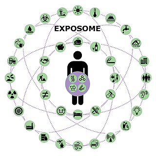 <span class="mw-page-title-main">Exposome</span> Concept on environmental exposures