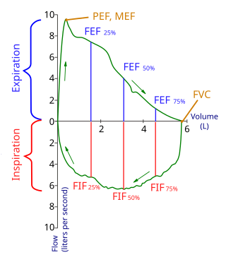 <span class="mw-page-title-main">Spirometry</span> Pulmonary function test