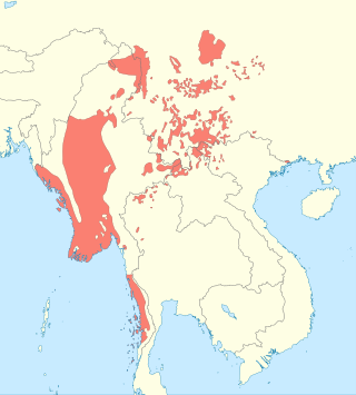 <span class="mw-page-title-main">Lolo-Burmese languages</span> Sino-Tibetan language group of Southeast Asia