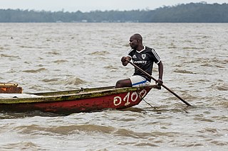 <span class="mw-page-title-main">Paddling</span> Manually propelling a boat using a paddle