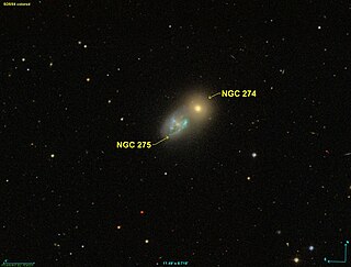 <span class="mw-page-title-main">NGC 275</span> Galaxy located in the constellation Cetus