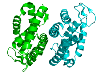 <span class="mw-page-title-main">Rev-ErbA beta</span> Protein-coding gene in the species Homo sapiens