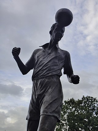 <span class="mw-page-title-main">Roy Sproson</span> English footballer (1930–1997)