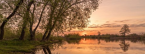 Світанок на Сулі. Околиці села Малоселицького