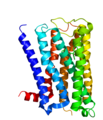 M2–acetilholinreceptor