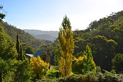 Autumn leaves typical of the Adelaide Hills. View from Forest Range through to Basket Range and on up to Marble Hill on the far ridgeline.