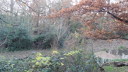 Dacres Wood 3.JPG