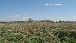 Eaker Site Archaeological site in Arkansas