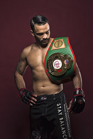 <span class="mw-page-title-main">Rob Font</span> American mixed martial artist (born 1987)