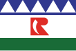 Vlag van Rincon