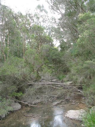 <span class="mw-page-title-main">Gardiners Creek</span> River in Victoria, Australia