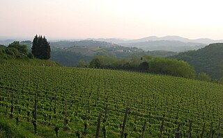 <span class="mw-page-title-main">Slovenian wine</span> Wine making in Slovenia