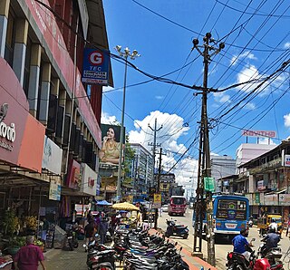 <span class="mw-page-title-main">Ottapalam</span> Town in Kerala, India