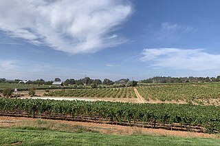 <span class="mw-page-title-main">California Shenandoah Valley AVA</span> Viticultural area in California, US