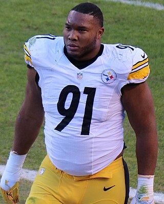 <span class="mw-page-title-main">Stephon Tuitt</span> American football player (born 1993)