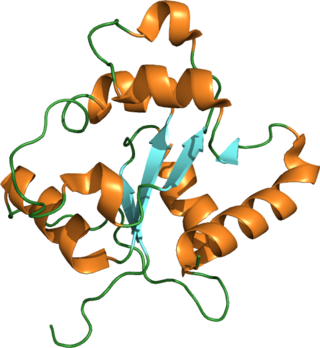 <span class="mw-page-title-main">Toll-like receptor 2</span> One of the toll-like receptors and plays a role in the immune system