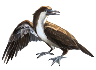 <i>Yanornis</i> Extinct genus of birds