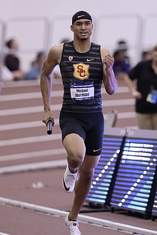 <span class="mw-page-title-main">Michael Norman (sprinter)</span> American sprinter