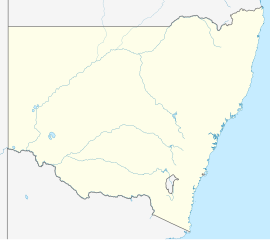 Blackbutt is located in New South Wales