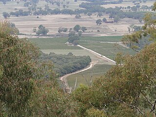 <span class="mw-page-title-main">Pyrenees (Victoria)</span> Wine region in Victoria, Australia