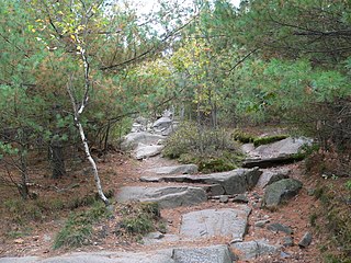 <span class="mw-page-title-main">Blue Hills Reservation</span>