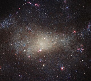 <span class="mw-page-title-main">NGC 4242</span> Galaxy in constellation Canes Venatici