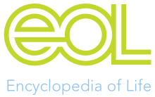 EOL logo.svg