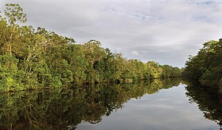 <span class="mw-page-title-main">Esk River (New South Wales)</span> River in New South Wales, Australia