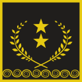 Gjeneral majorcode: sq is deprecated (Kosovo Security Force)[35]