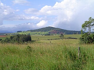 <span class="mw-page-title-main">Mount Quincan</span> Mountain in Queensland, Australia