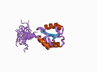 <span class="mw-page-title-main">Protein disulfide-isomerase</span> Class of enzymes