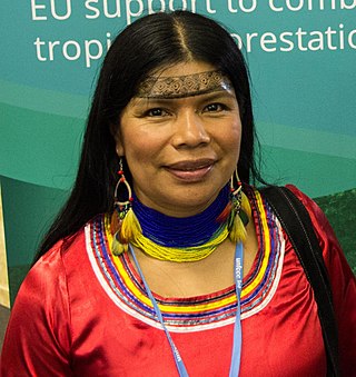 <span class="mw-page-title-main">Patricia Gualinga</span> Ecuadorian human rights defender