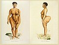 Saartjie Baartman, la « Vénus hottentote » (1789-1815).