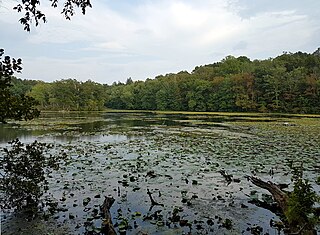 <span class="mw-page-title-main">Teatown Lake Reservation</span> Nature reserve and education center in New York