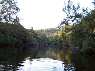 <span class="mw-page-title-main">Barrington River (New South Wales)</span> River in Australia