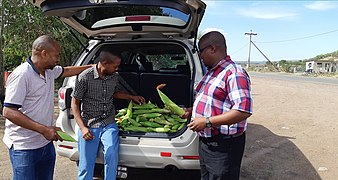 Corn in the boot.jpg