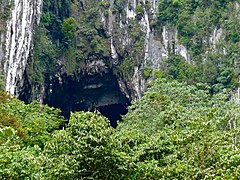 Critère IX : La grotte du Cerf dans le Parc national du Gunung Mulu, Malaisie