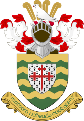 <span class="mw-page-title-main">Donegal County Council</span> Local government authority for county of Donegal in Ireland