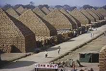 Agriculture in the Sixties. Groundnut Pyramids.jpg