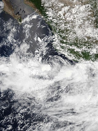 <span class="mw-page-title-main">Tropical Storm Hernan (2020)</span> Eastern Pacific tropical storm in 2020