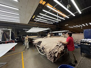 <span class="mw-page-title-main">Tanning (leather)</span> Process of treating animal skin to produce leather