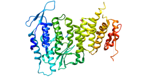 <span class="mw-page-title-main">JunD</span> Protein-coding gene in the species Homo sapiens