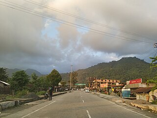 <span class="mw-page-title-main">Roing</span> Town in Arunachal Pradesh, India