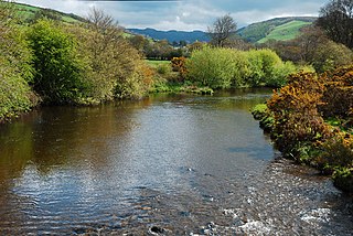 <span class="mw-page-title-main">Afon Rheidol</span> River in Ceredigion, Wales