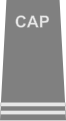 Civil Air Patrol rank insignia of a technical flight officer.