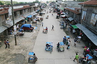 <span class="mw-page-title-main">Datu Piang, Maguindanao del Sur</span> Municipality in Maguindanao del Sur, Philippines